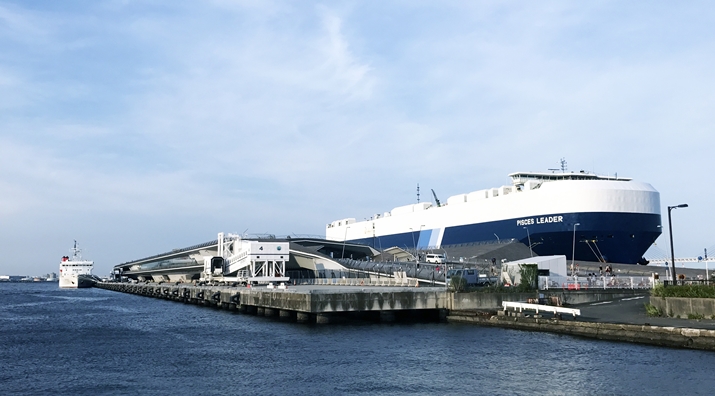 Sharing About Osanbashi Pier From Mr. Kieu Viet Ha Training In Japan