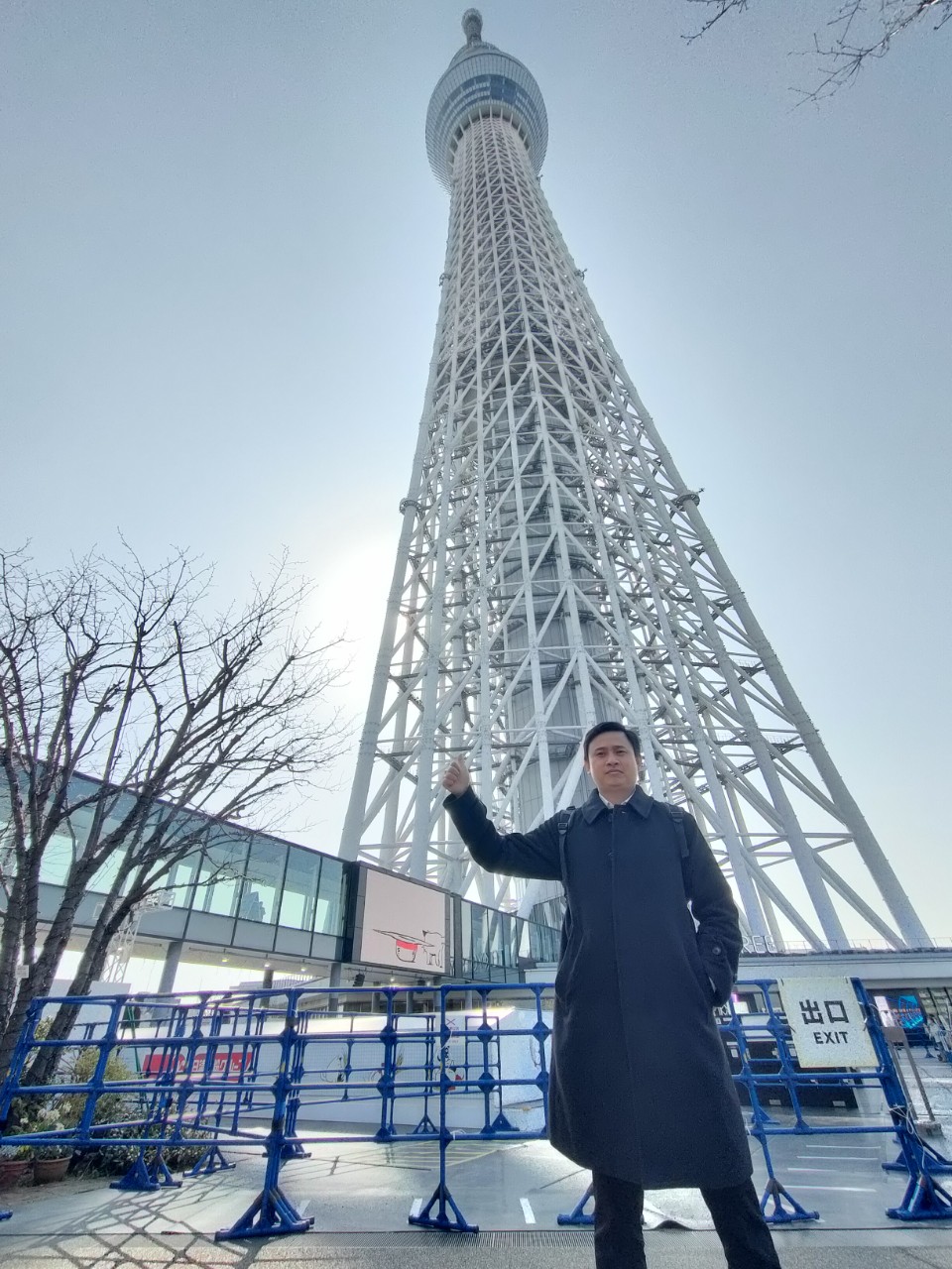 交流プログラム